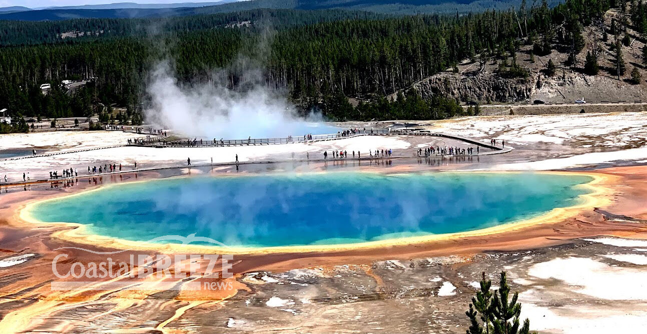 Dolphins_6. Prismatic Springs at Yellowstone.JPG